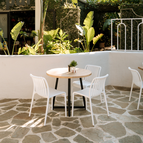 mimosa-chairs